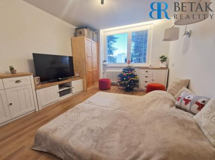 OP | Pronájem bytu, 1+1, 39 m²