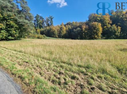 POZ5 | Prodej - pozemek pro bydlení, 14 217 m²