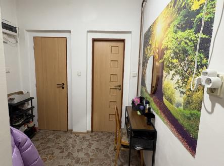 11 | Prodej bytu, 2+1, 46 m²