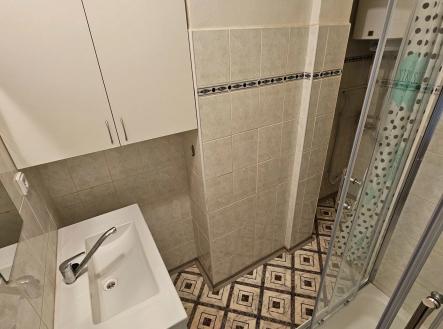 20230711_132409 | Pronájem bytu, 1+kk, 20 m²