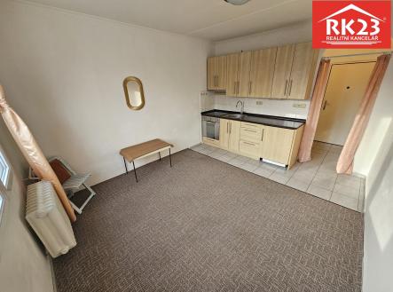 20251121_140134 | Pronájem bytu, 1+kk, 20 m²