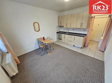 20251216_144511 | Pronájem bytu, 1+kk, 20 m²