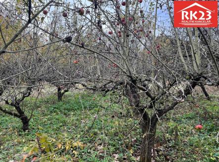 IMG-20251114-WA0010 | Prodej - pozemek pro bydlení, 994 m²