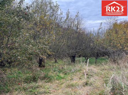 IMG-20251114-WA0009 | Prodej - pozemek pro bydlení, 994 m²