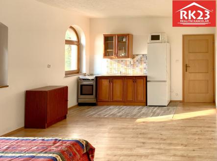 IMG_0482 | Pronájem bytu, 1+kk, 40 m²