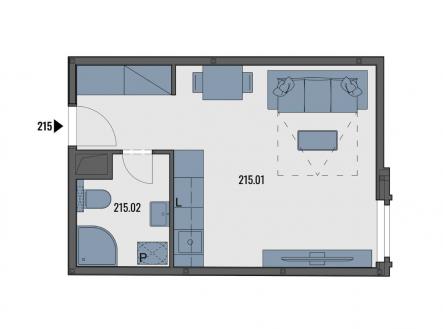 Pronájem bytu, 1+kk, 25 m²