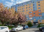 Pronájem bytu, 1+1, 36 m²