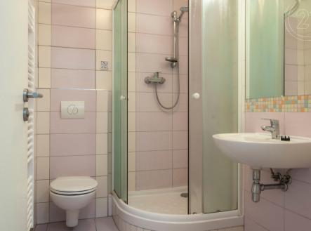 . | Pronájem bytu, 1+kk, 30 m²