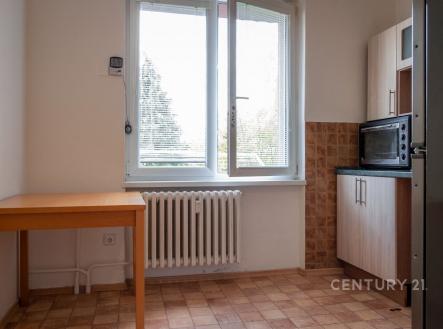 . | Pronájem bytu, 1+1, 42 m²