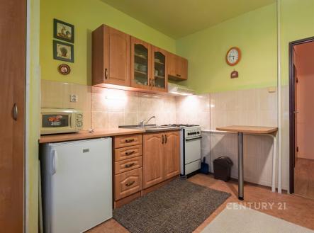 . | Pronájem bytu, 1+1, 42 m²