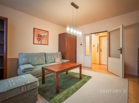 . | Pronájem bytu, 1+1, 42 m²