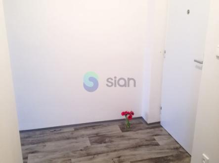 5568.jpg | Pronájem bytu, 1+1, 40 m²