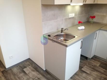 5570.jpg | Pronájem bytu, 1+1, 40 m²