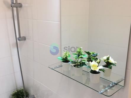 9508.jpg | Pronájem bytu, 2+1, 44 m²