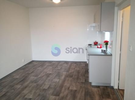 5496.jpg | Pronájem bytu, 2+kk, 49 m²