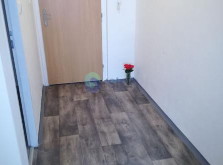 5485.jpg | Pronájem bytu, 2+kk, 49 m²