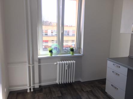 7919.jpg | Pronájem bytu, 2+1, 50 m²