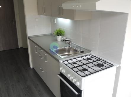 Pronájem bytu, 1+1, 40 m² obrázek