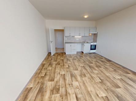 11192025-123235.jpg | Pronájem bytu, 1+kk, 32 m²