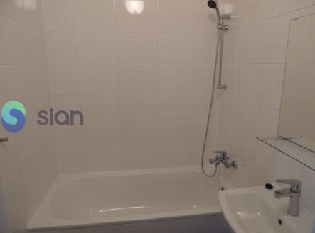 10045.jpg | Pronájem bytu, 1+1, 29 m²