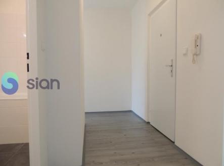 3823.jpg | Pronájem bytu, 1+1, 41 m²