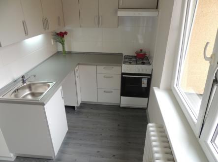 Pronájem bytu, 1+1, 41 m² obrázek