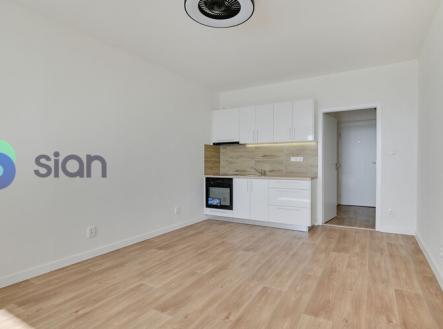 dsc-7943hdr.jpg | Pronájem bytu, 1+kk, 29 m²