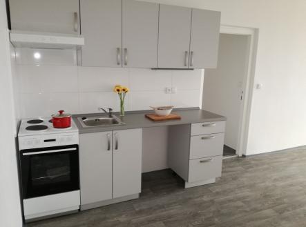 1573808826-490b030fa4a407bb05ba0bec6d2bd205.jpg | Pronájem bytu, 2+kk, 49 m²