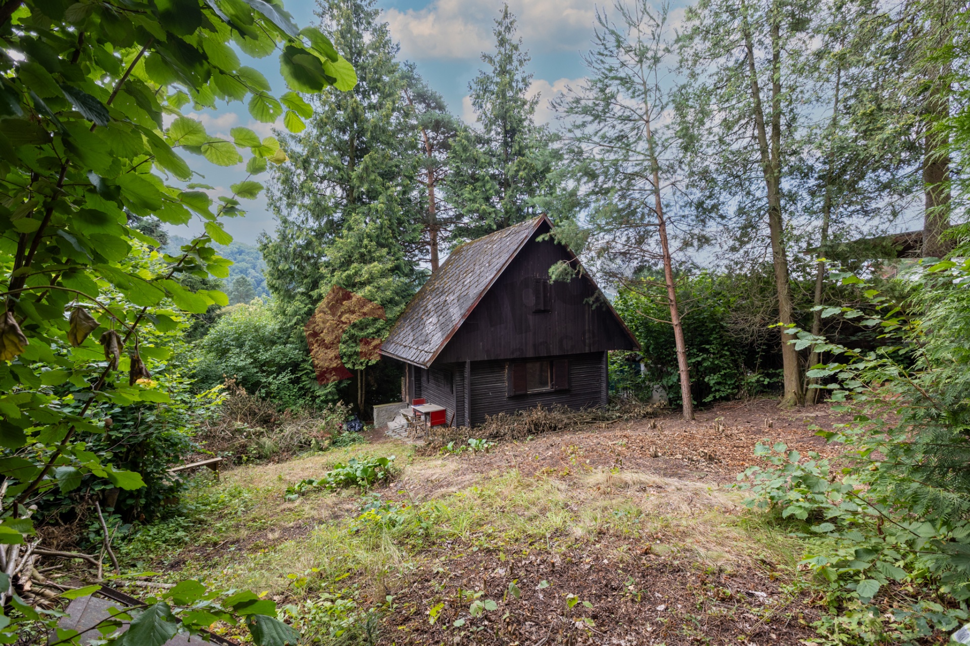 Prodej chaty / pozemek pro tiny house Javorník - Čtyřkoly