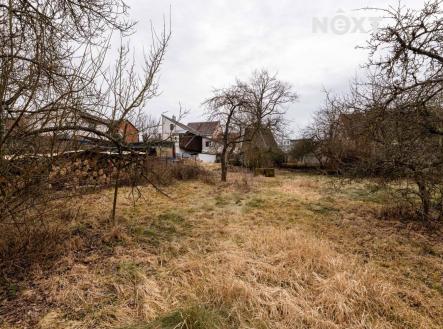 Prodej - pozemek, zahrada, 750 m²