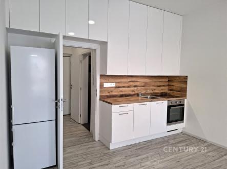 . | Pronájem bytu, 1+kk, 30 m²