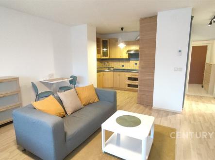 . | Pronájem bytu, 1+kk, 48 m²