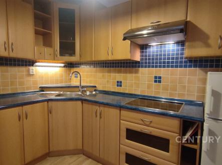 . | Pronájem bytu, 1+kk, 48 m²
