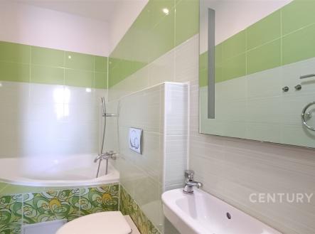 . | Pronájem bytu, 1+1, 55 m²