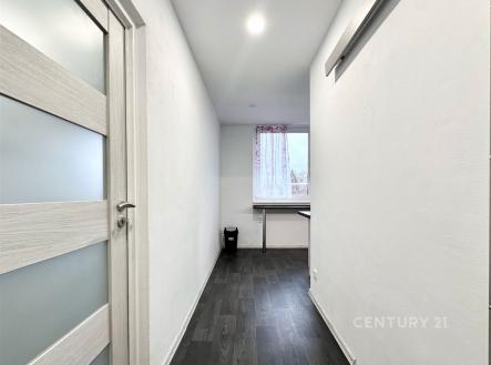 . | Pronájem bytu, 1+1, 31 m²