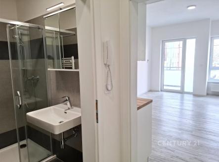 . | Pronájem bytu, 1+kk, 30 m²