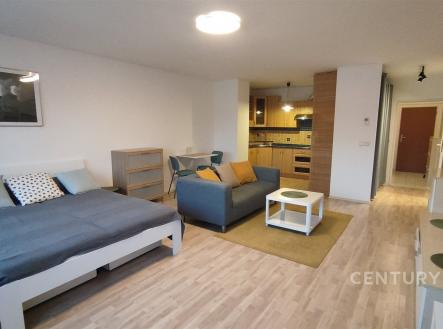 . | Pronájem bytu, 1+kk, 48 m²