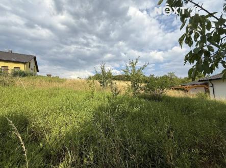 Prodej - pozemek pro bydlení, 5 817 m²