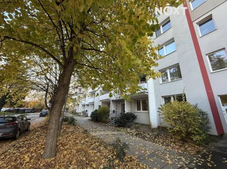 Pronájem bytu, 1+1, 40 m²