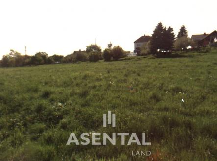 Prodej - pozemek, zemědělská půda, 6 101 m² obrázek