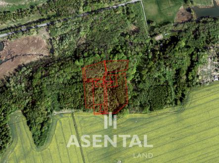 Prodej - pozemek, les, 21 432 m² obrázek