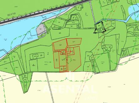 P | Prodej - pozemek, les, 21 432 m²