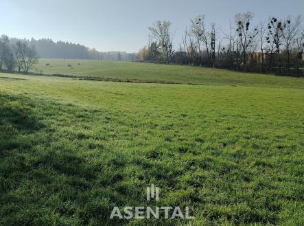 1000003453 | Prodej - pozemek, zemědělská půda, 7 427 m²