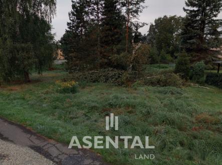 Foto 1 | Prodej - pozemek pro bydlení, 3 533 m²