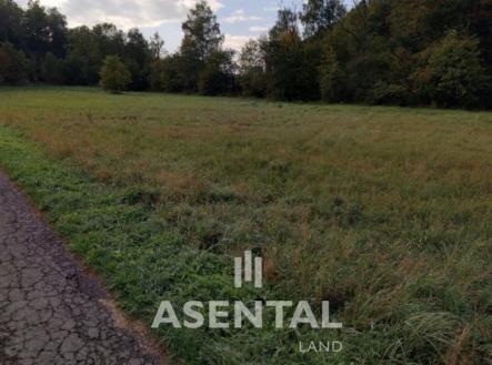 Snímek obrazovky 2025-08-08 114753 | Prodej - pozemek, ostatní, 4 096 m²