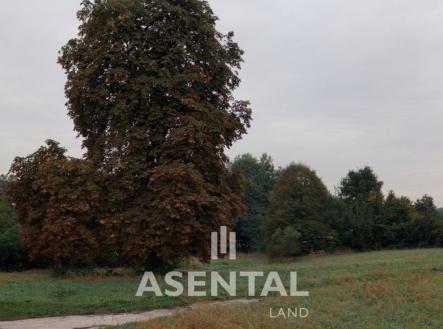 Foto 2 | Prodej - pozemek pro bydlení, 2 731 m²