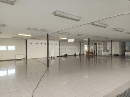 Prodej - pozemek pro bydlení, 3 123 m²