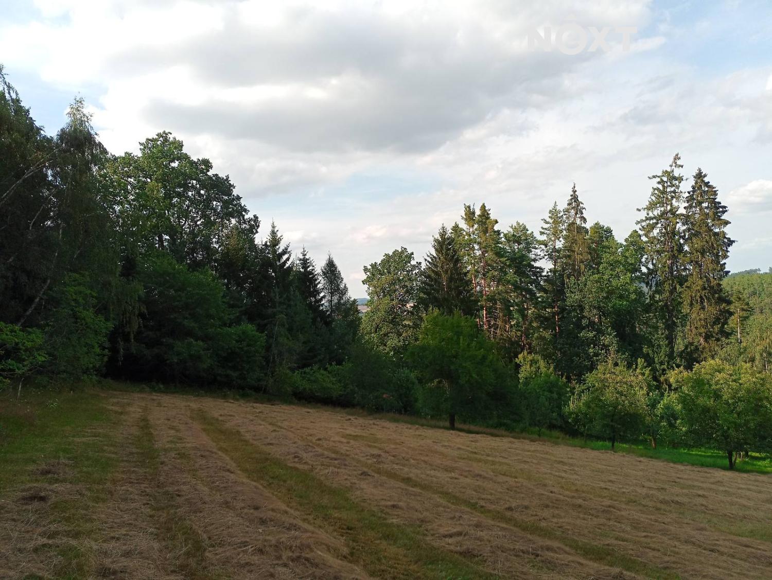 Prodej pozemek Sady/vinice, 3560㎡