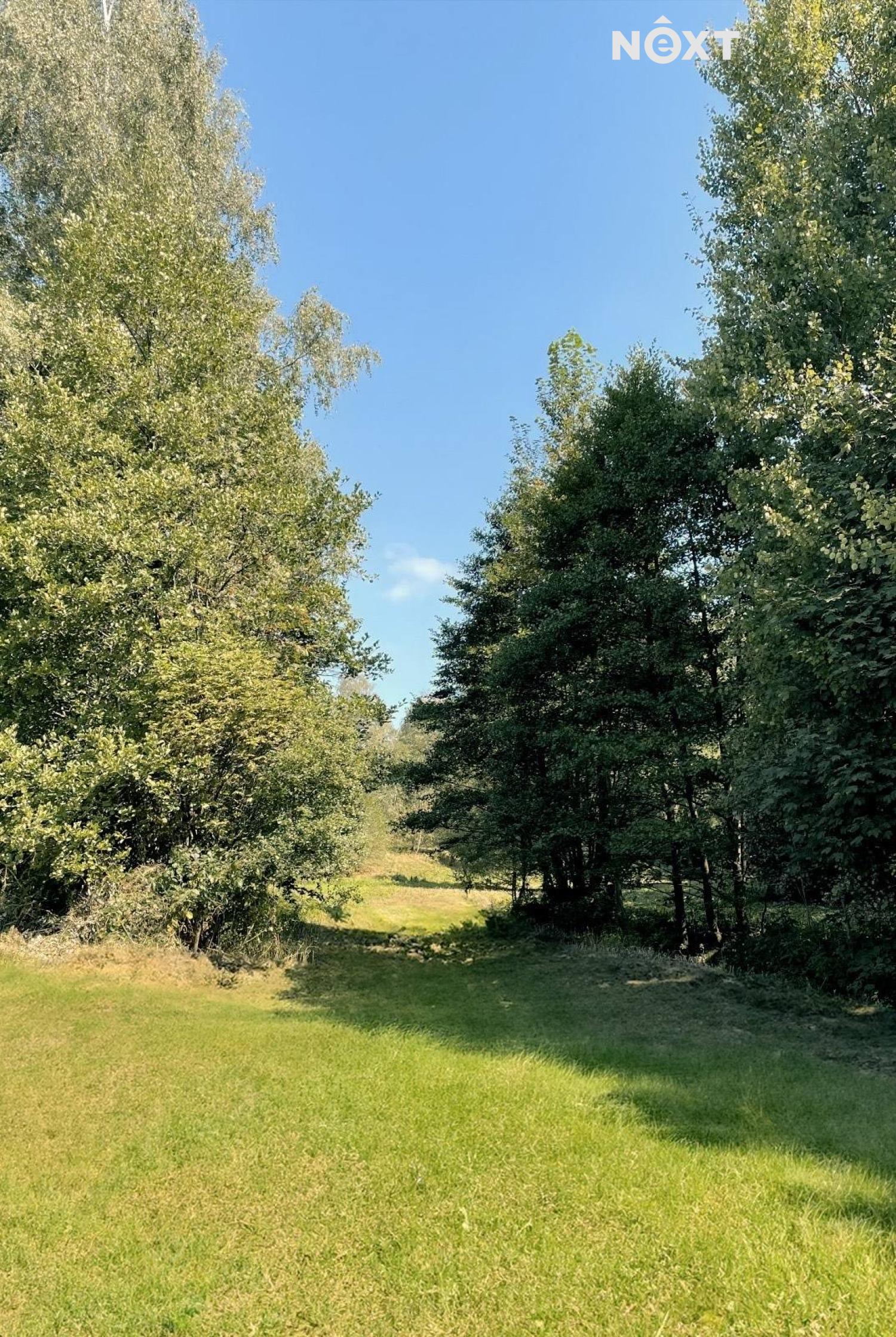 Prodej pozemek Lesy, 6838㎡