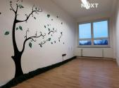 Pronájem - kanceláře, 17 m²